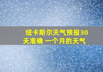 纽卡斯尔天气预报30天准确 一个月的天气